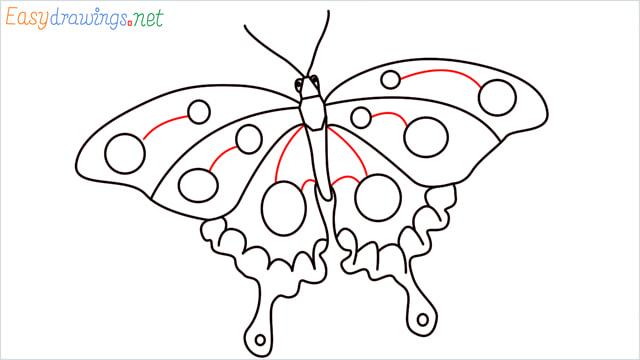 How to draw a butterfly step (11)