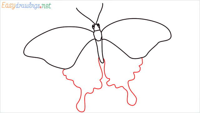 How to draw a butterfly step (6)