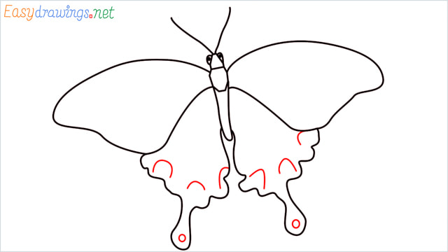 How to draw a butterfly step (7)