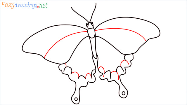 How to draw a butterfly step (8)