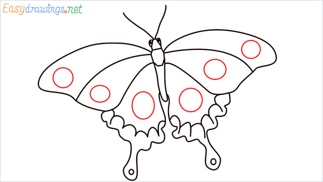 How to draw a butterfly step (9)