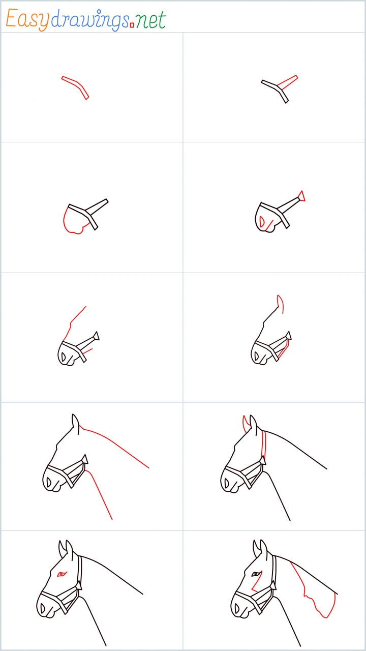 How to Draw a horse head step by step for beginners: 10 Simple phase