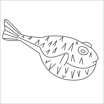 draw a puffer fish