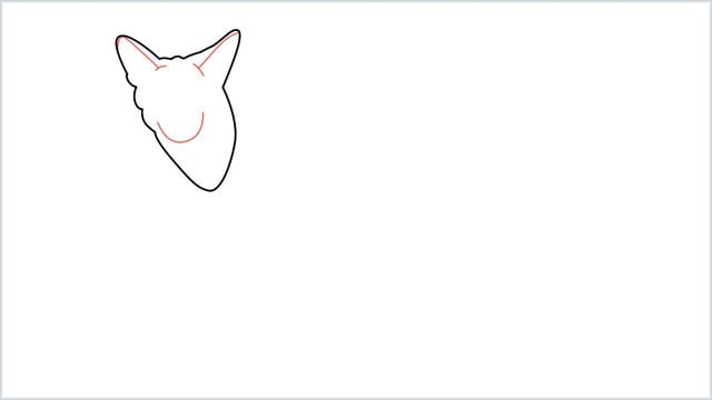 how to draw a coyote step (4)