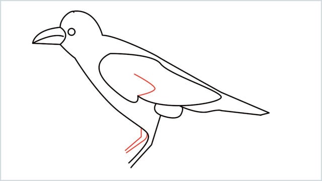 how to draw a crow step (10)