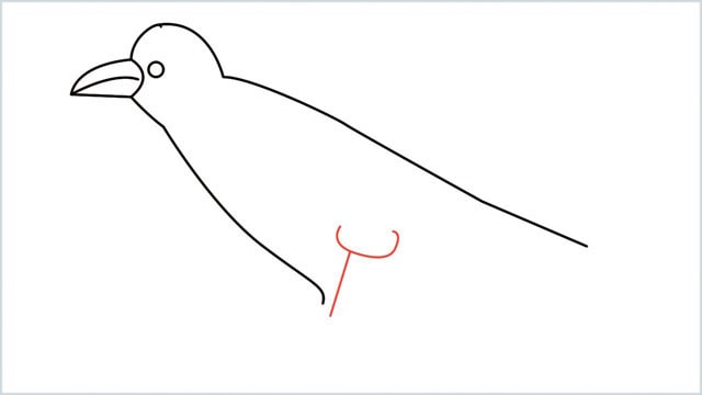 how to draw a crow step (6)