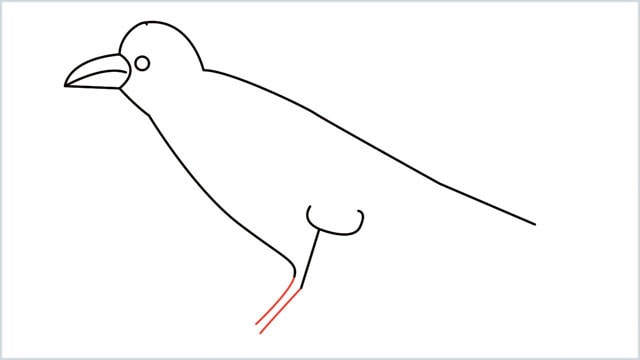 how to draw a crow step (7)