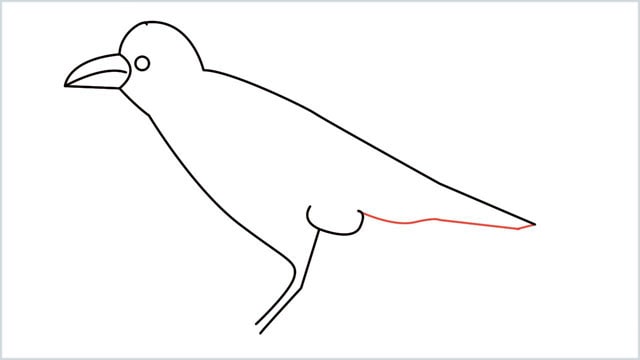 how to draw a crow step (8)