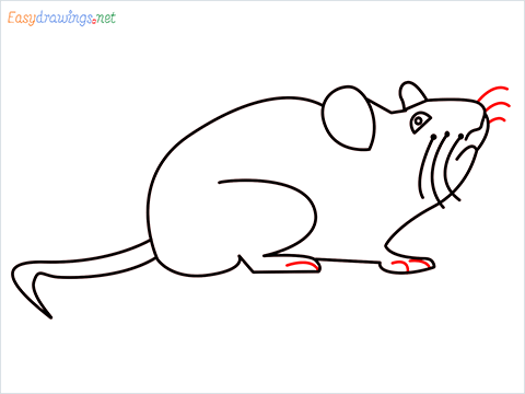 how to draw a cute mouse step (8)