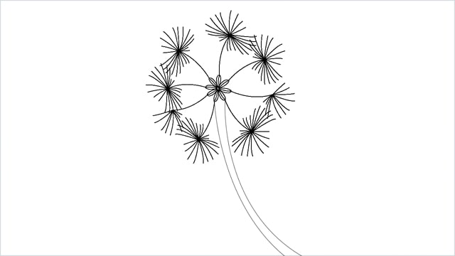 how to draw a dandelion