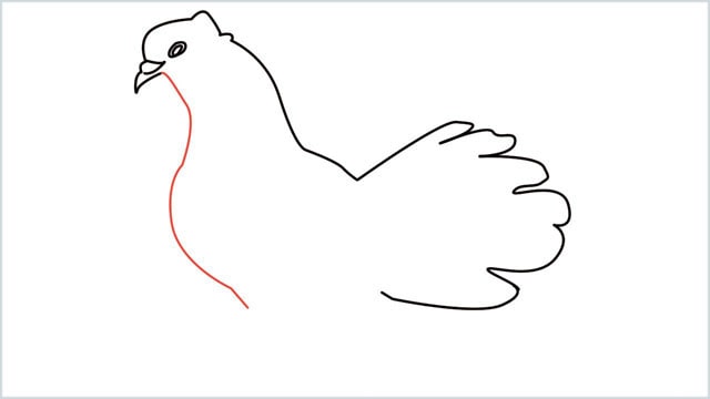 how to draw a dove step (7)