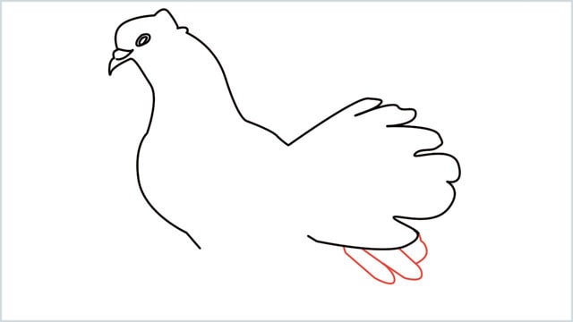 how to draw a dove step (8)