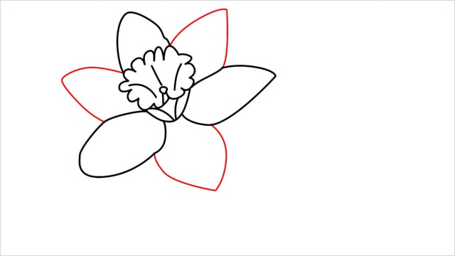 how to draw a easy daffodil step (9)
