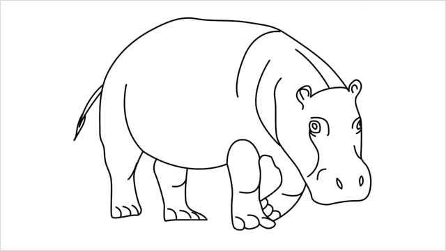 how to draw a hippo