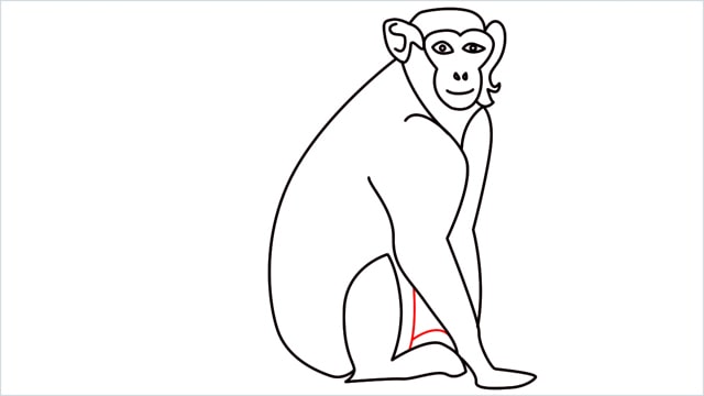 how to draw a monkey step (10)