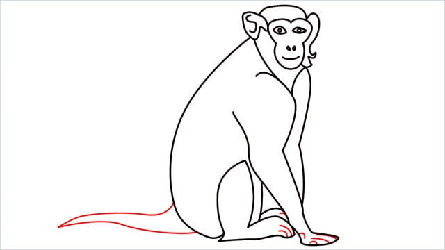 how to draw a monkey step (11)