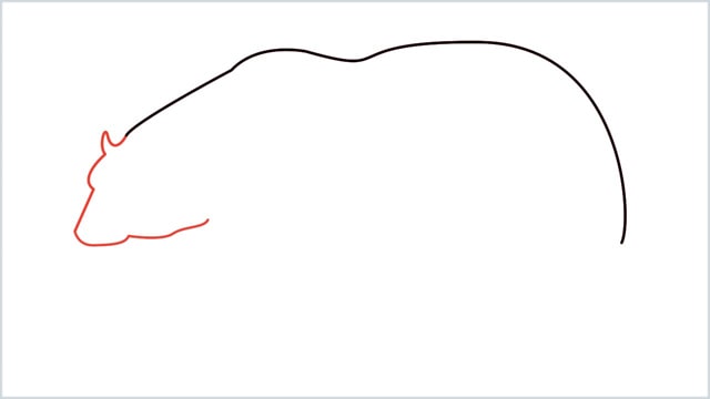 how to draw a polar bear step (3)