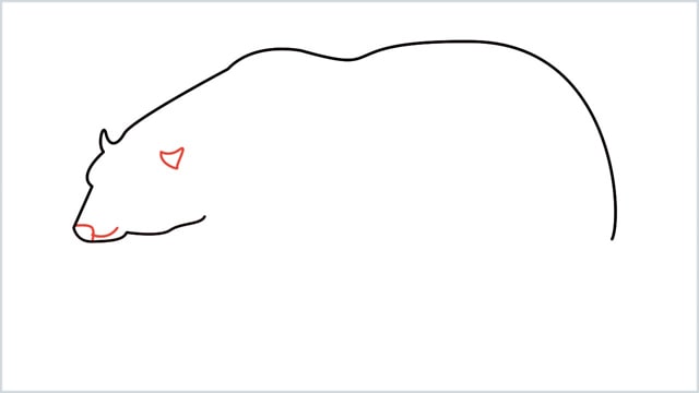 how to draw a polar bear step (4)