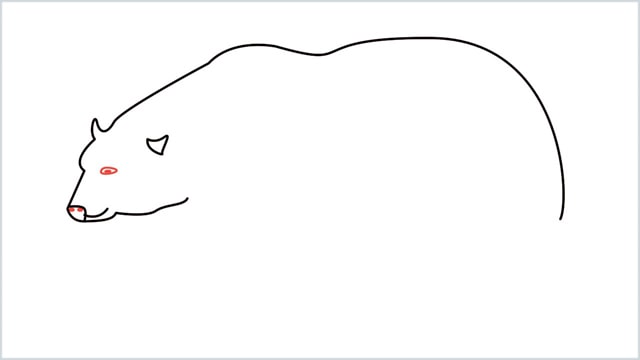 how to draw a polar bear step (5)