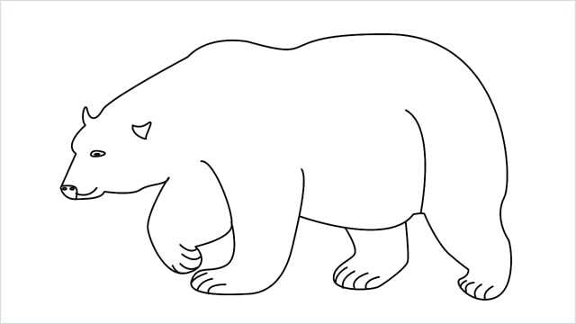 how to draw a polar bear