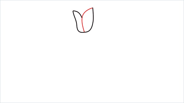 how to draw a tulip flower step (3)