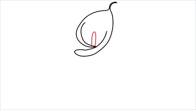 how to draw calla lily step (5)
