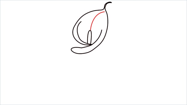 how to draw calla lily step (6)