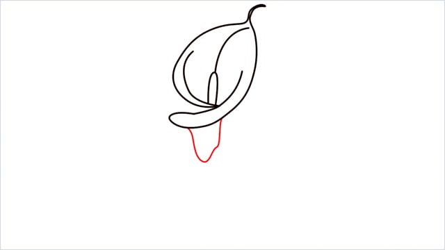 how to draw calla lily step (7)