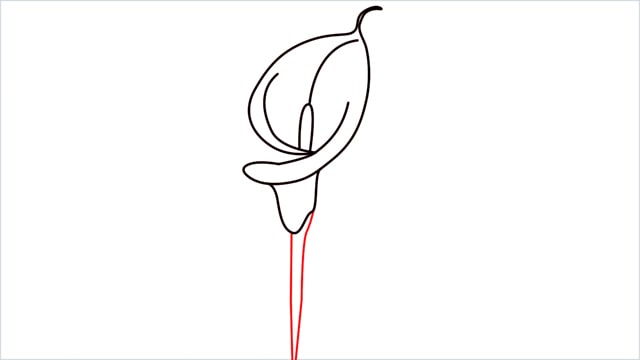 how to draw calla lily step (8)