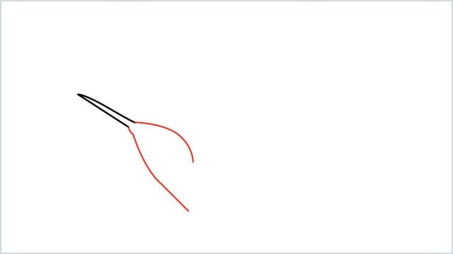 how to draw hummingbird step (2)