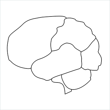 Brain drawing