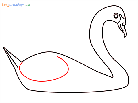How To Draw A Beautiful Swan Step (6)