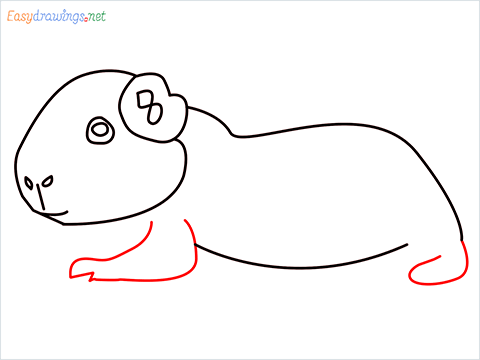How To Draw A Cute Guinea Pig Step (7)