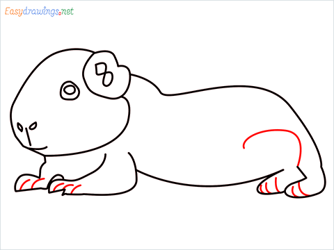 How To Draw A Cute Guinea Pig Step (9)
