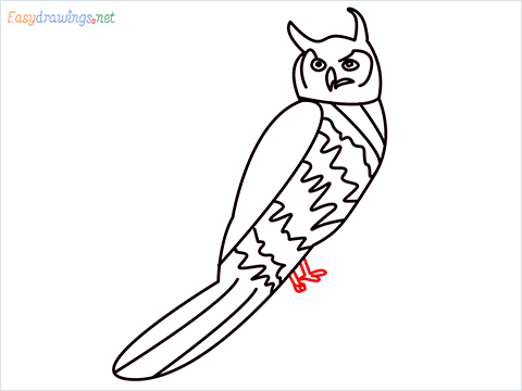 How To Draw A Easy Owl Bird Step (11)