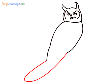 How To Draw A Easy Owl Bird Step (7)