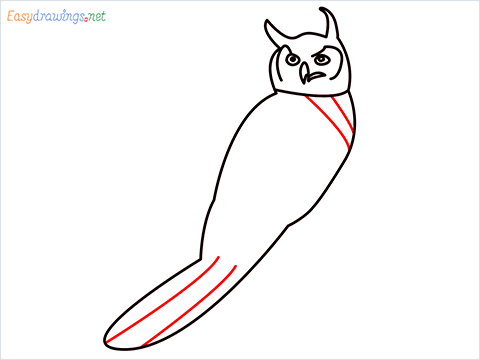 How To Draw A Easy Owl Bird Step (8)
