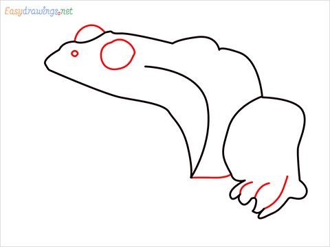 How To Draw A Frog Easy Step (5)