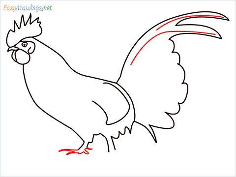 How To Draw A Rooster (cock) Step (10)