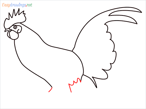 How To Draw A Rooster (cock) Step (8)