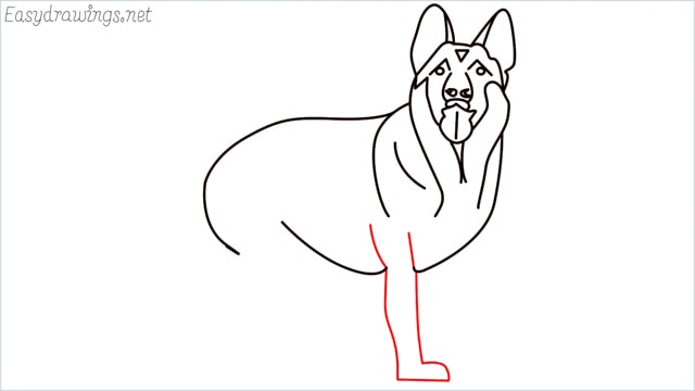 How to draw a German Shepherd step (13)