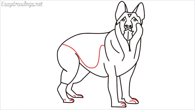 How to draw a German Shepherd step (18)