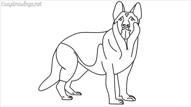 How to draw a German Shepherd step by step