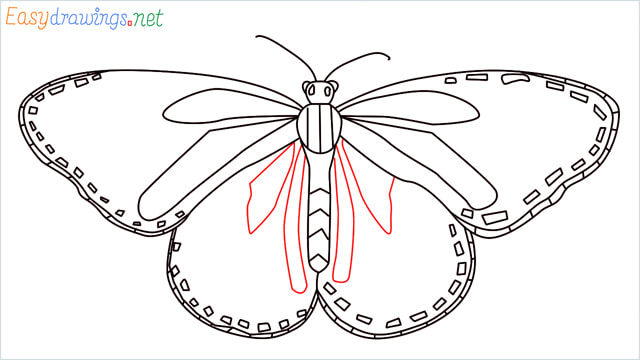 How to draw a Monarch butterfly step (10)