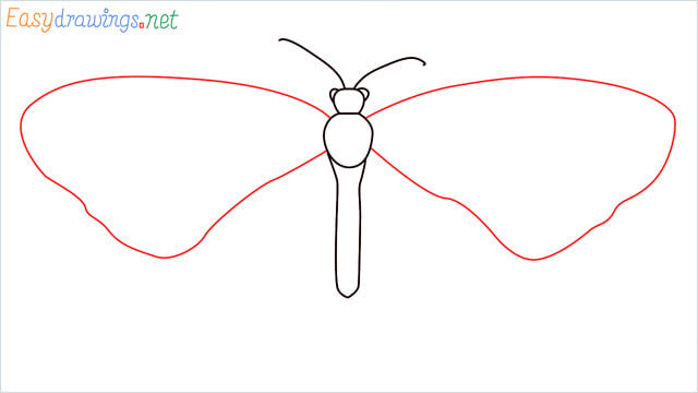 How to draw a Monarch butterfly step (4)