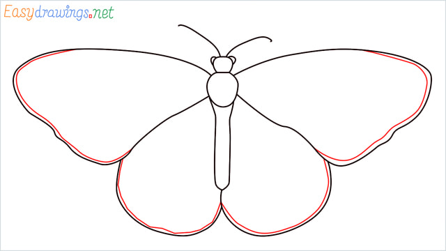 How to draw a Monarch butterfly step (6)