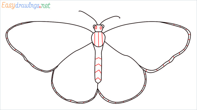 How to draw a Monarch butterfly step (7)