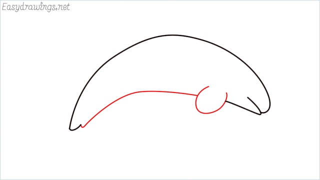 How to draw a Orca step (3)
