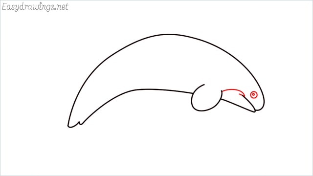 How to draw a Orca step (4)