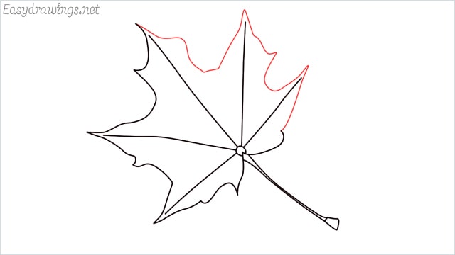 How to draw a fall leaf step (5)